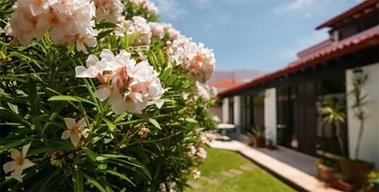 Cancun Luxury Stella Maris Villa By The Sea Εξωτερικό φωτογραφία